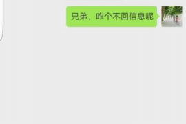 冠县为什么选择专业追讨公司来处理您的债务纠纷？